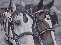 Team of Shires  16x20